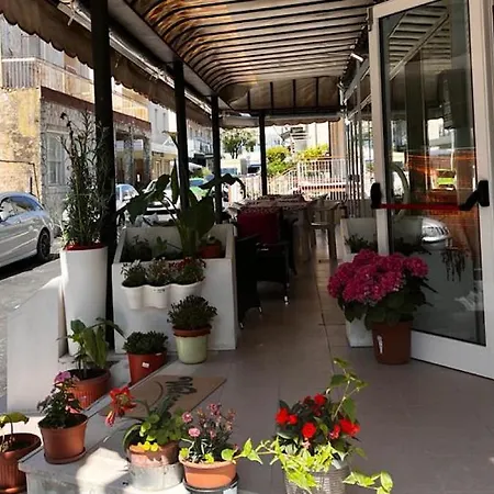 Due Gemelle 酒店 里米尼